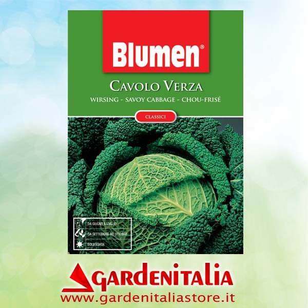 Anschlussplatte ESM für M210 Balkenmäher Eurosystems