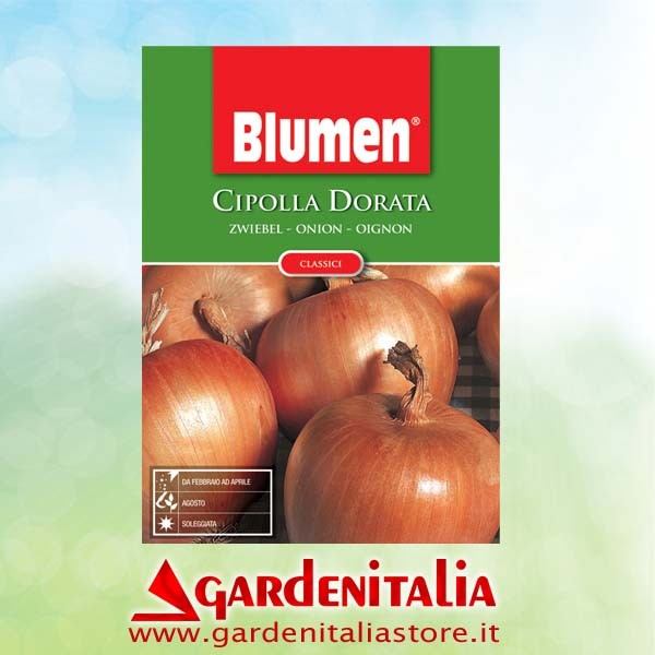 Führungs- Druckplatte für M210 Balkenmäher Eurosystems