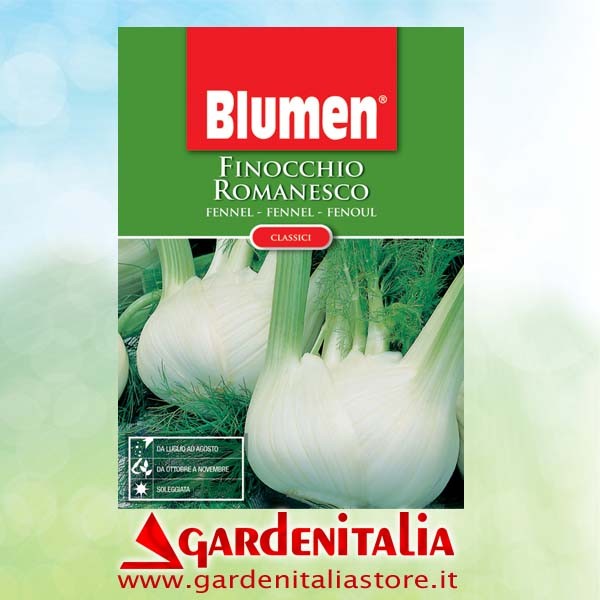 Führungs- Druckplatte für M210 Balkenmäher Eurosystems