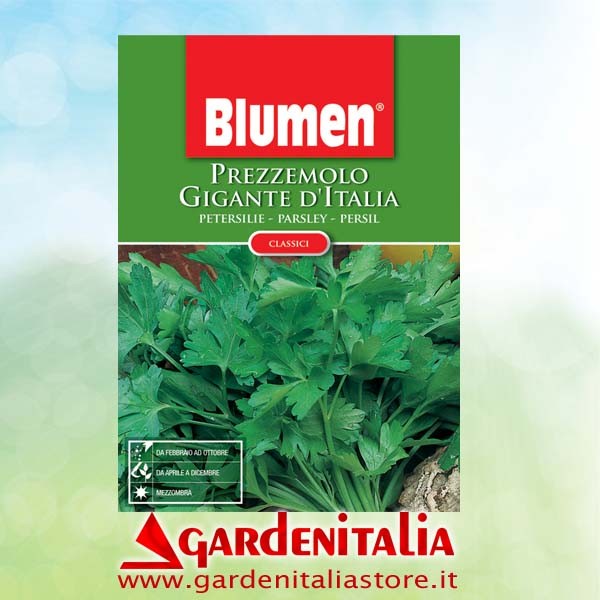 Messerkopfführung für M210 Balkenmäher Eurosystems