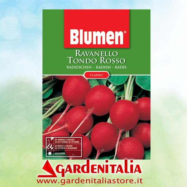 Handgriff für CARRY Motorschubkarre Eurosystems