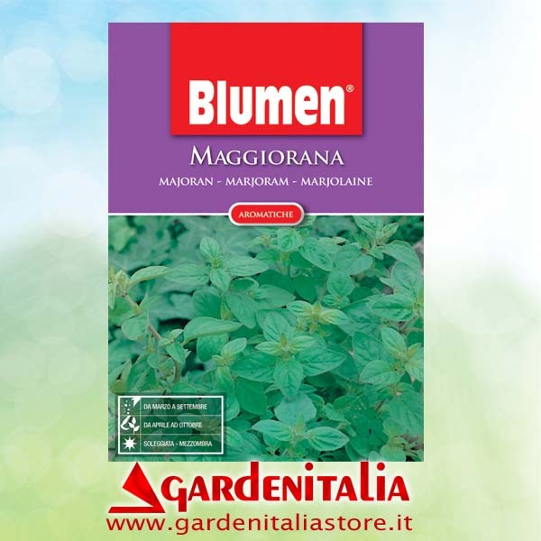 Bowdenzug Verriegelung  für CARRY Motorschubkarre Eurosystems