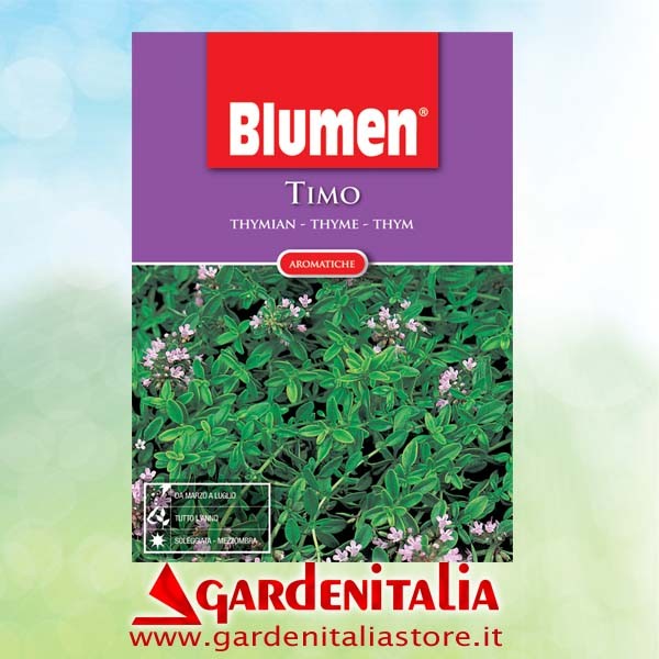 Bowdenzug Verriegelung  für CARRY Motorschubkarre Eurosystems