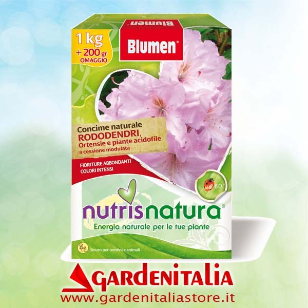 Gasregulierhebel für Carry Motorschubkarre Eurosystems