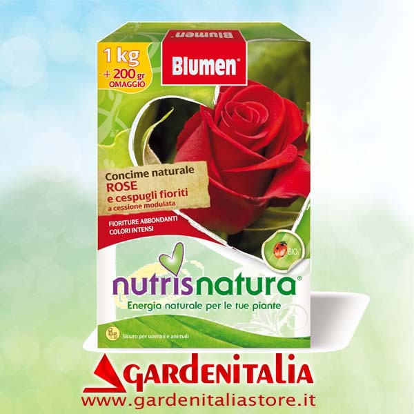 Gasregulierhebel für Carry Motorschubkarre Eurosystems