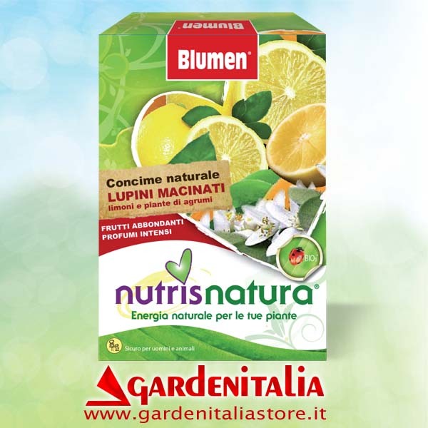 Druckfeder Bowdenz. RWG für Carry Motorschubkarre Eurosystems