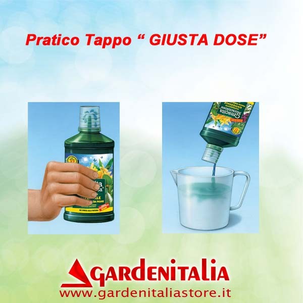 Rad links  für Carry Motorschubkarre Eurosystems