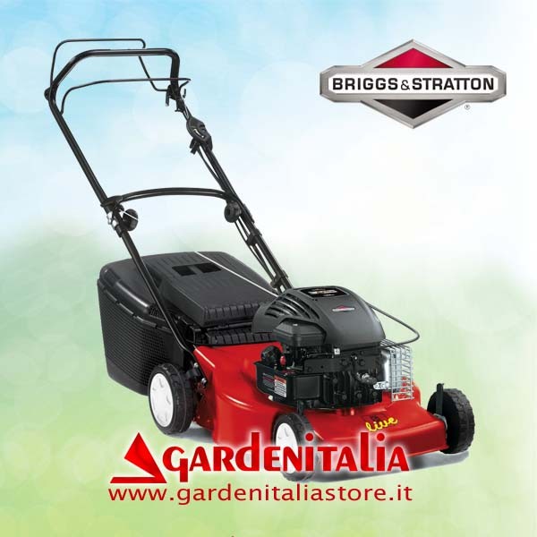 Laufrad hinten für Carry Motorschubkarre Eurosystems