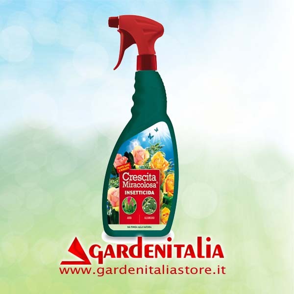 Laufrad hinten für Carry Motorschubkarre Eurosystems