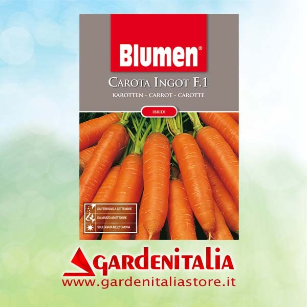 Bedienhebel Rückw.gang + Lagerstück kpl. für Carry Motorschubkarre Eurosystems