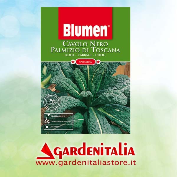 Keilriemensch.Motor für Carry Motorschubkarre Eurosystems