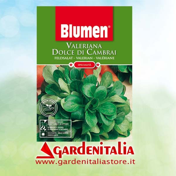 Antriebsriemen für Carry Motorschubkarre Eurosystems