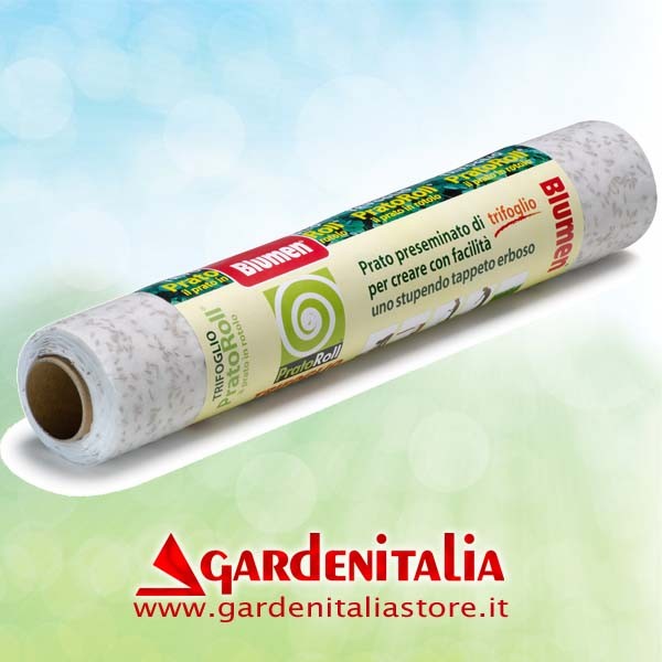 Keilriemenscheibe für Carry Motorschubkarre Eurosystems