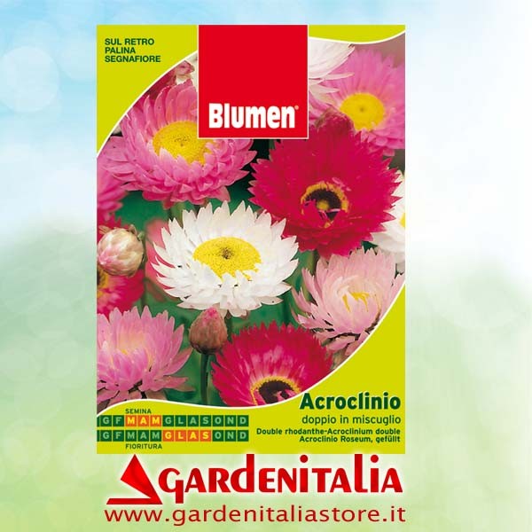 Flachriemen für Rückwärtsgang Carry Motorschubkarre Eurosystems