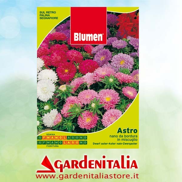 Doppelkeilriemenscheibe für Carry Motorschubkarre Eurosystems