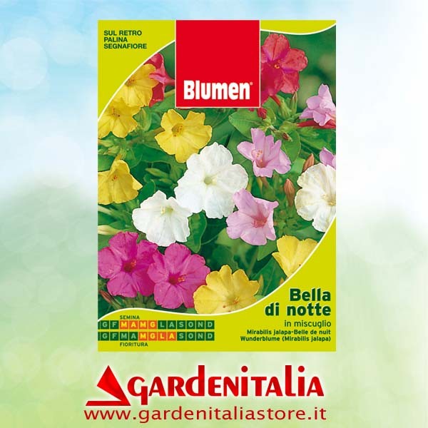 Doppelkeilriemenscheibe für Carry Motorschubkarre Eurosystems