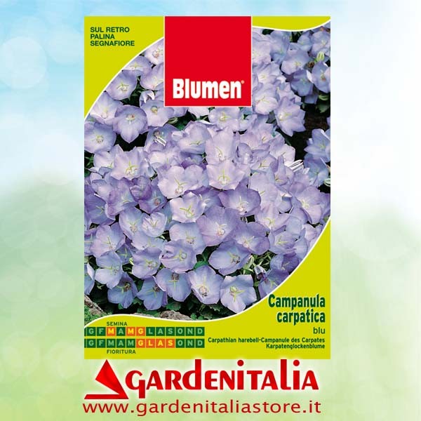 Keilriemen Fahrantrieb für Carry Motorschubkarre Eurosystems