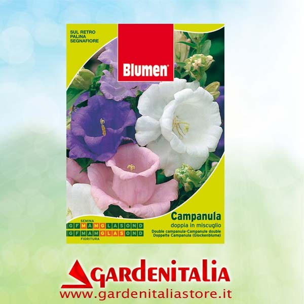 Doppelkeilriemenscheibe für Carry Motorschubkarre Eurosystems