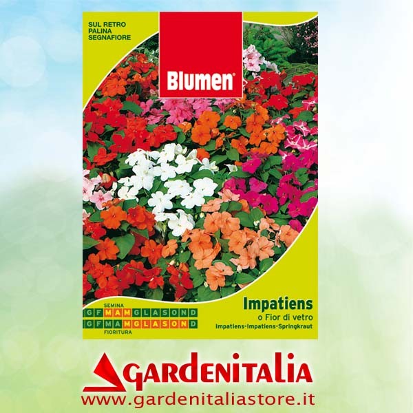 Doppelkeilriemenscheibe für Carry Motorschubkarre Eurosystems