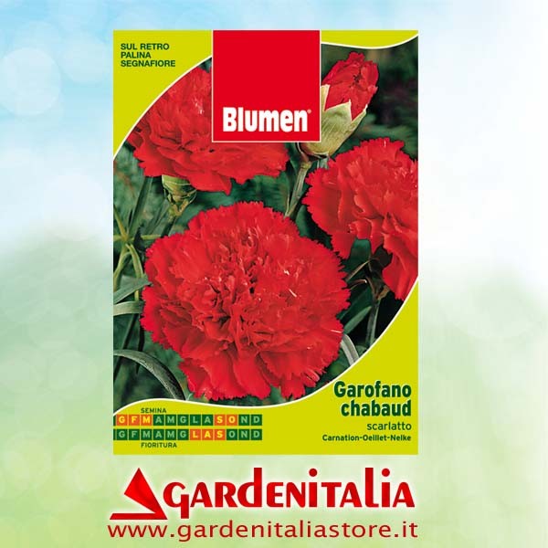 Schneckenwelle für Carry Motorschubkarre Eurosystems