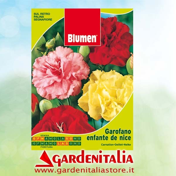 Schneckenwelle für Carry Motorschubkarre Eurosystems