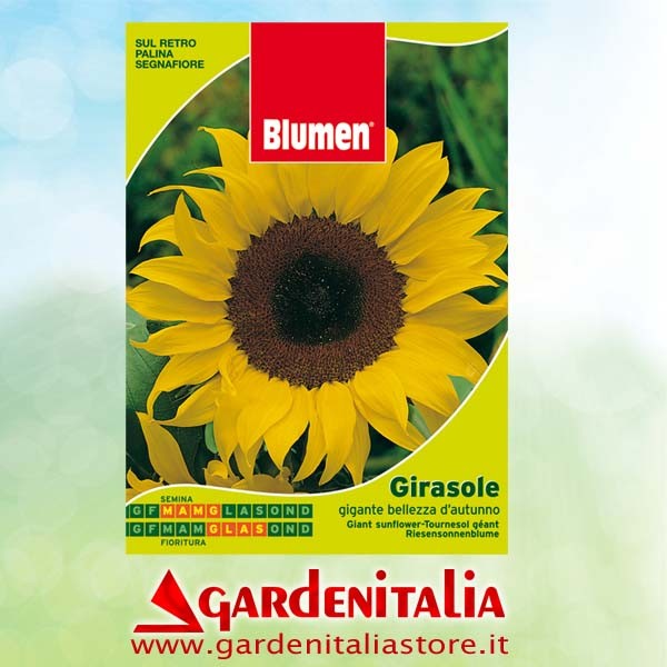 Hackstern rechts für RTT2 Einachfräse Eurosystems