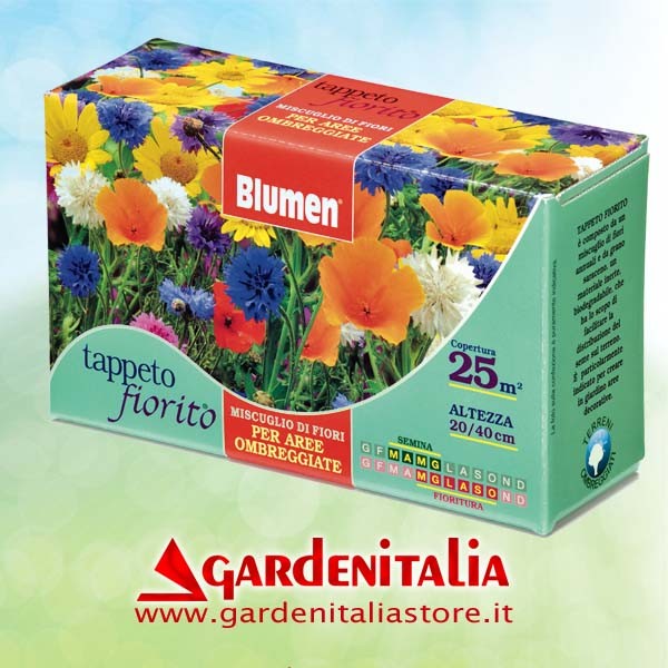 Tiefenregulierung für RTT2 Einachfräse Eurosystems