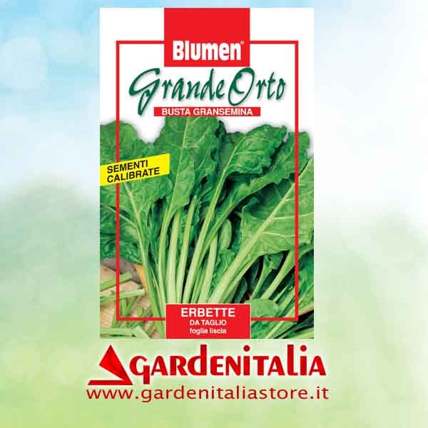 Fluegelmutter für RTT2 Einachfräse Eurosystems