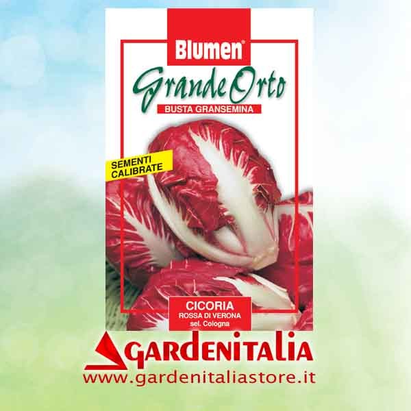 Gaszug für RTT2 Einachfräse Eurosystems