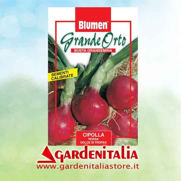 Seilzug Rückwärts- Vorwärtsgang  für RTT2 Einachfräse Eurosystems