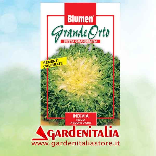 Seilzug Rückwärts- Vorwärtsgang  für RTT2 Einachfräse Eurosystems