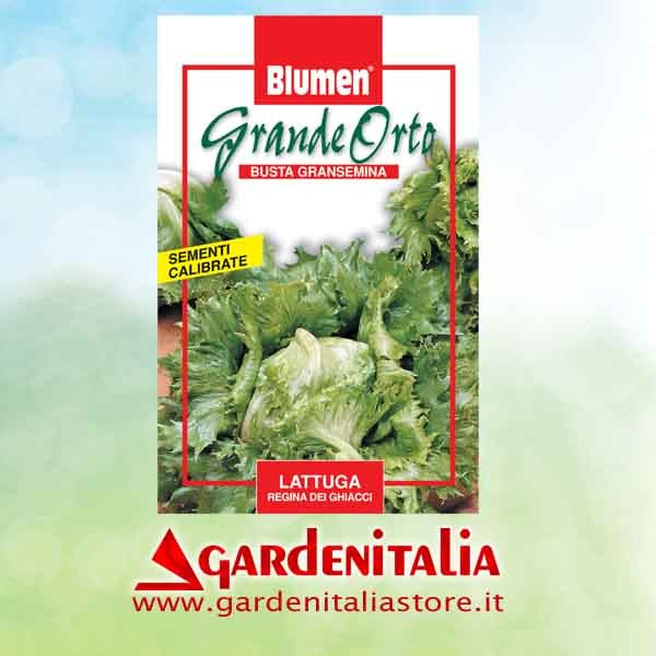 Bedienhebel Rückw.gang + Lagerstück kpl. für Carry Motorschubkarre Eurosystems