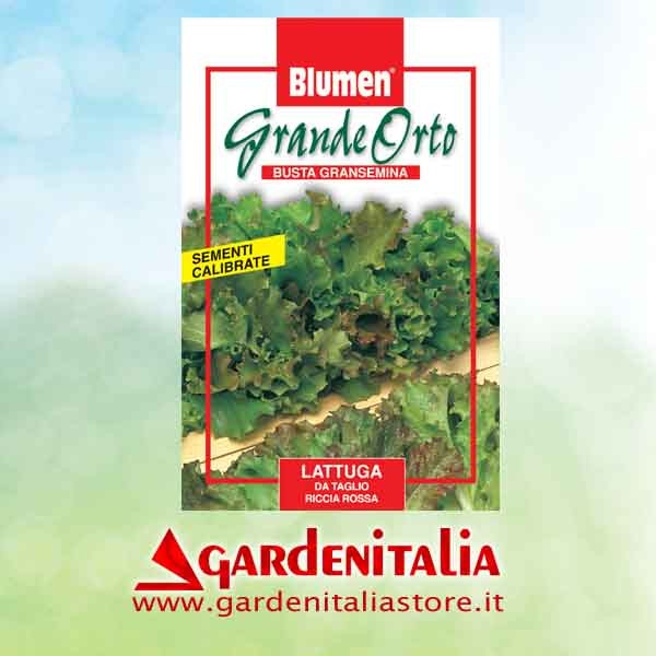 Bedienhebel Rückw.gang + Lagerstück kpl. für Carry Motorschubkarre Eurosystems