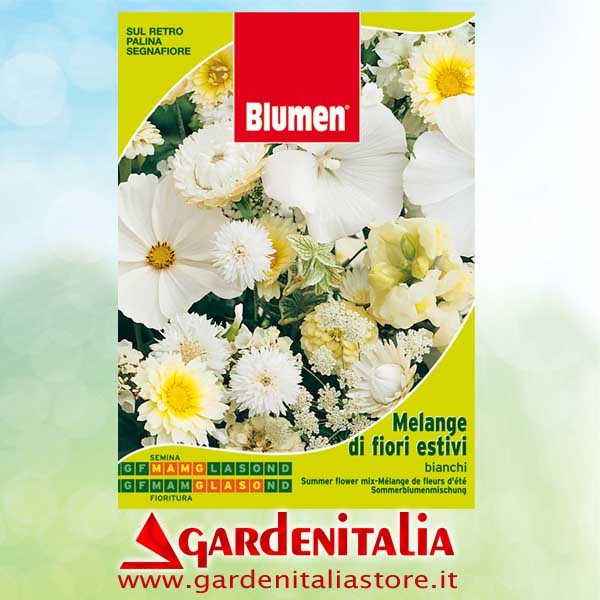 Keilriemen Vorwärtsgang für RTT2 Einachfräse Eurosystems