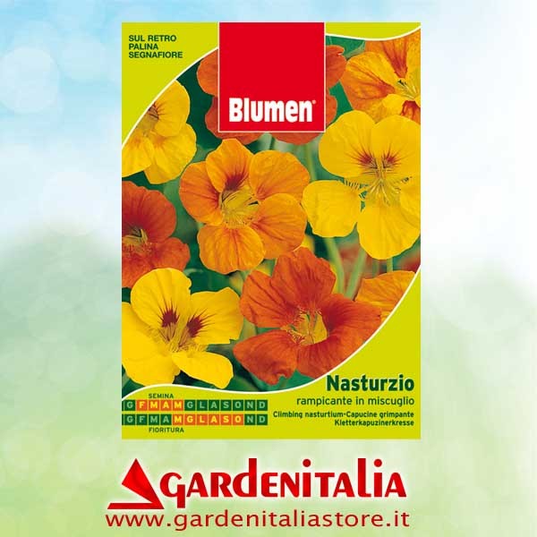 Zahnr. Paar f. Rückw.gang (set) für RTT2 Einachfräse Eurosystems