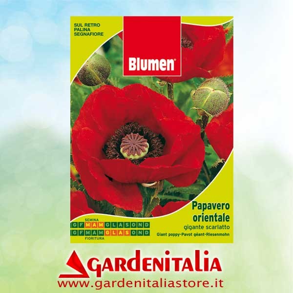 Keilriemenscheibe groß für RTT2 Einachfräse Eurosystems