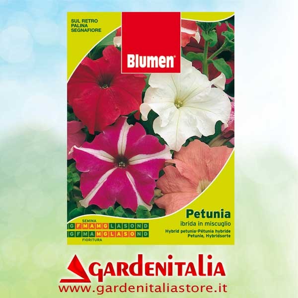 Keilriemenscheibe groß für RTT2 Einachfräse Eurosystems