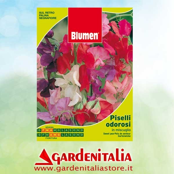 Keilriemen für RTT2 Einachfräse Eurosystems