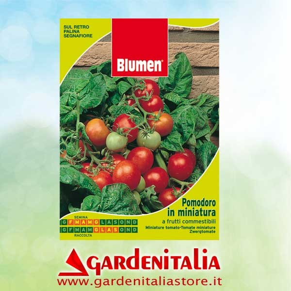 Keilriemen für RTT2 Einachfräse Eurosystems