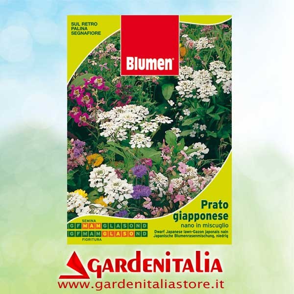 Keilriemen für RTT2 Einachfräse Eurosystems