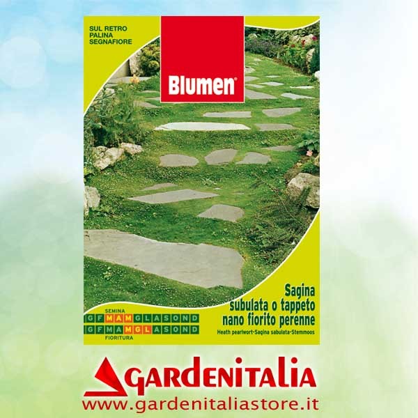 Hackstern rechts für RTT3 Einachfräse Eurosystems