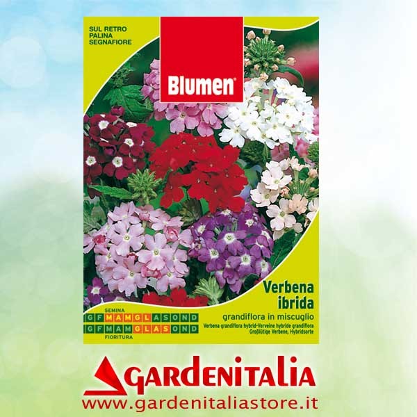 Hackstern rechts für RTT3 Einachfräse Eurosystems