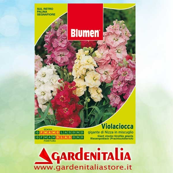 Hackstern links für RTT3 Einachfräse Eurosystems