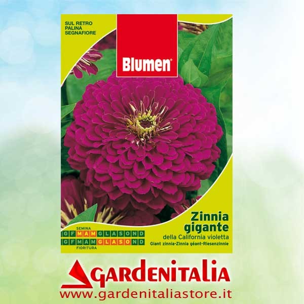 Rad rechts  für RTT3 Einachfräse Eurosystems