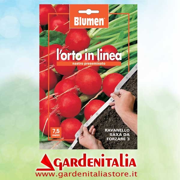 Rad links  für RTT3 Einachfräse Eurosystems