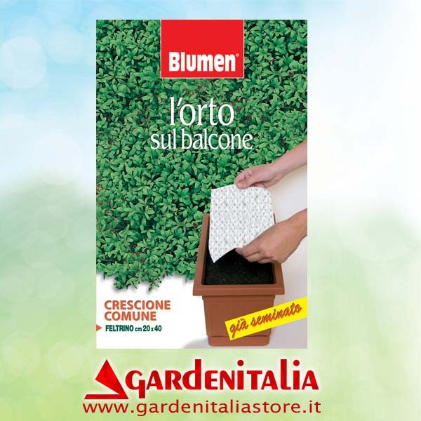 Hebel für RTT3 Einachfräse Eurosystems