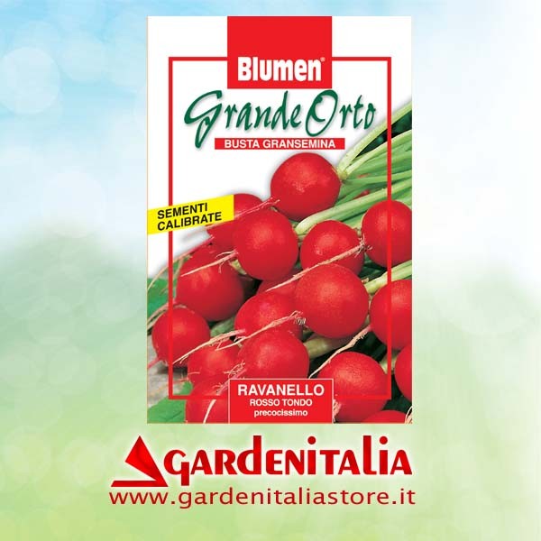 Fluegelmutter für RTT3 Einachfräse Eurosystems