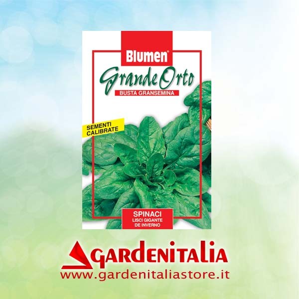 Gaszug für RTT3 Einachfräse Eurosystems