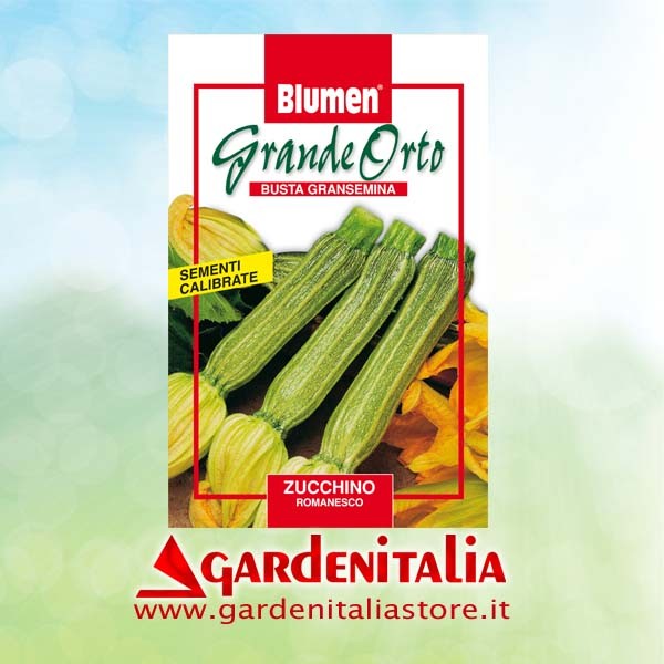 Gaszug für RTT3 Einachfräse Eurosystems