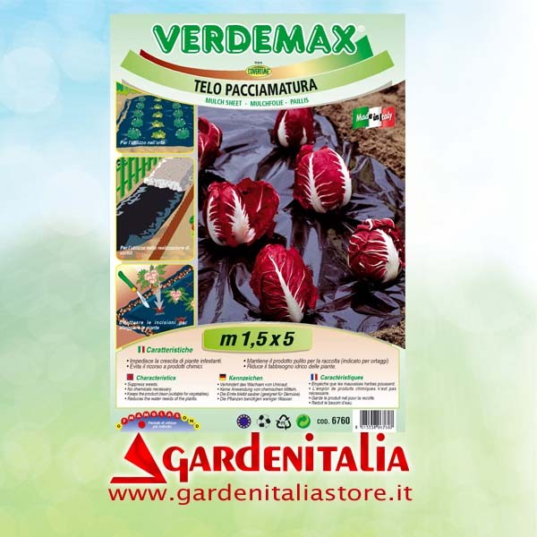 Gasregulierhebel für RTT3 Einachfräse Eurosystems